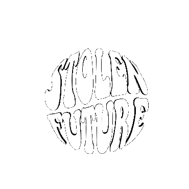 Stolen Future